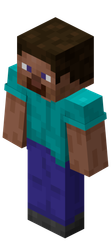 steve
